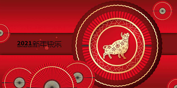 遇見(jiàn)2021：一路同行，向“新”而行！